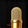 Stylized microphone icon for audio recording service